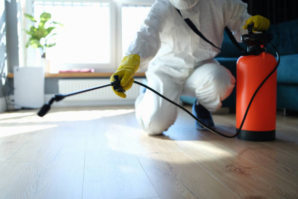 Reliable Blood Cleanup contractor in Cave Creek, AZ by Trauma Clean Pros